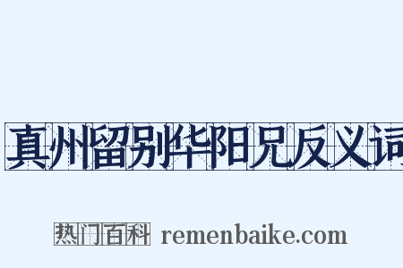 真州留别华阳兄反义词是什么意思的图片